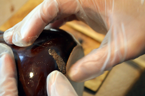 大切な器を直して、長く使う「金継ぎ」とは？ ～「金継ぎ部」体験レポート！＜前篇＞