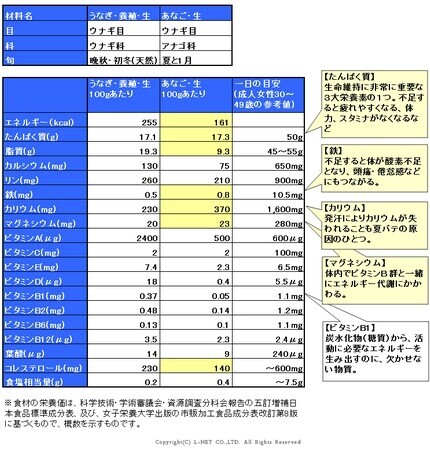 うなぎとあなご、夏バテに効くのは？