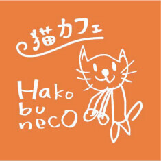 動物病院が運営する里親募集型 猫カフェ「Hako bu neco」2号店オープン