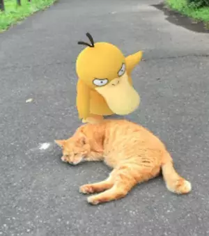 【おもしろポケモン画像】コダックのちょっかいに猫マジ切れ!? からの謝罪へ