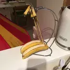 【おもしろフルーツ画像】スタンドで保管していたバナナが「ぬーん」とあられもない姿に