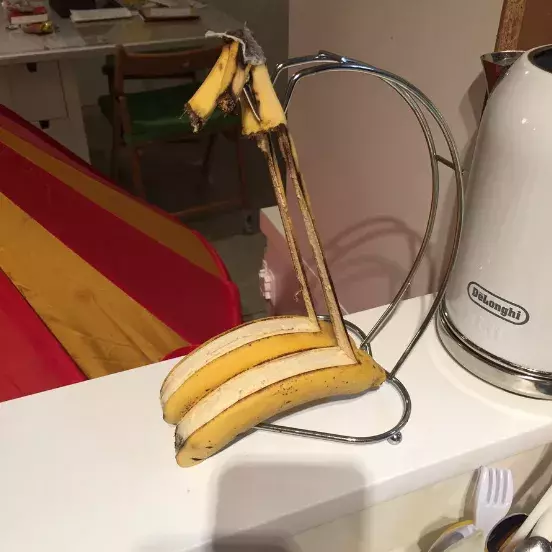 【おもしろフルーツ画像】スタンドで保管していたバナナが「ぬーん」とあられもない姿に