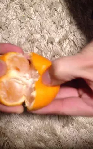 【早剥きミカン動画】12秒でミカンを完食できる皮の剥き方がスゴい！
