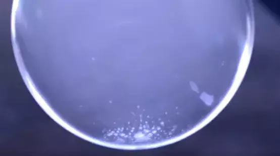 【おもしろ自然動画】極寒の北海道で“しゃぼん玉”を作ると神秘的なことになる