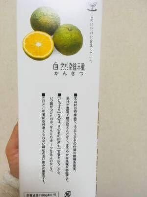 最強の花粉対策兵器？！大人レディの心強くて酸っぱい味方『じゃばら』がイイ【ヘルシーツール】