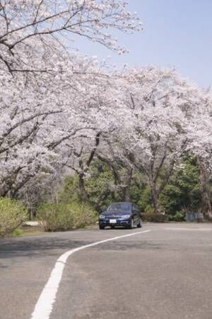 2018年春。今年の桜はBMW 118dに乗って美しい情景を求めて！
