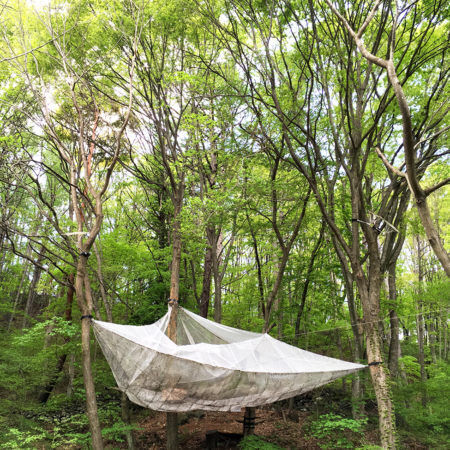 長野県小諸の隠れ家「読書の森」で過ごす豊かな時間。【イラストダイアリー】