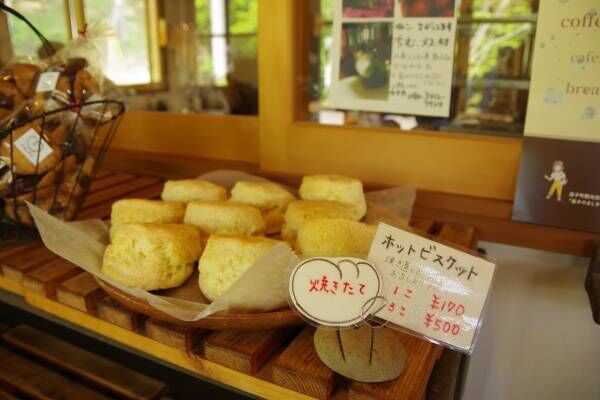 益子春の陶器市レポート【ショップ編】 陶器市で訪ねたい、おすすめショップ＆作家リスト!　