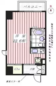 住める賃貸！最高の「ひとっ風呂」を日常に。1日の疲れを癒すゆったりバスルームのある部屋特集【プチDIY女子達のお部屋案内】