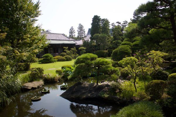 【旅の途中の神様訪問】風情溢れる柴又の帝釈天で猛烈に幸せを願う