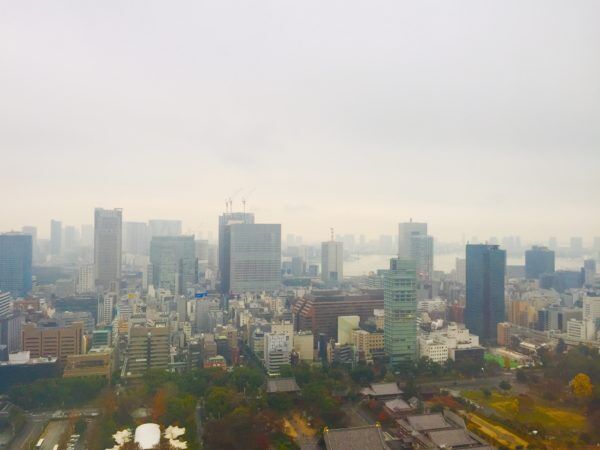 【旅の途中の神様訪問】東京タワーのご利益スポット！タワー大神宮参拝とまさかの手相占い