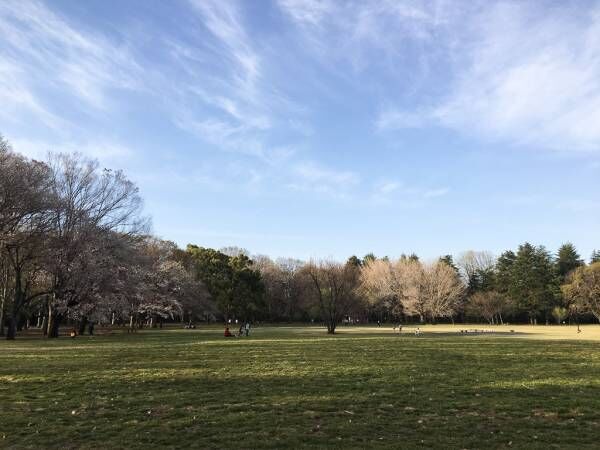 【住みやすい街】自然が豊かで、生活も便利。中央線の穴場「武蔵小金井」は、都会に疲れた人におすすめの街 - Vol.1　【プチDIY女子達のお部屋案内】