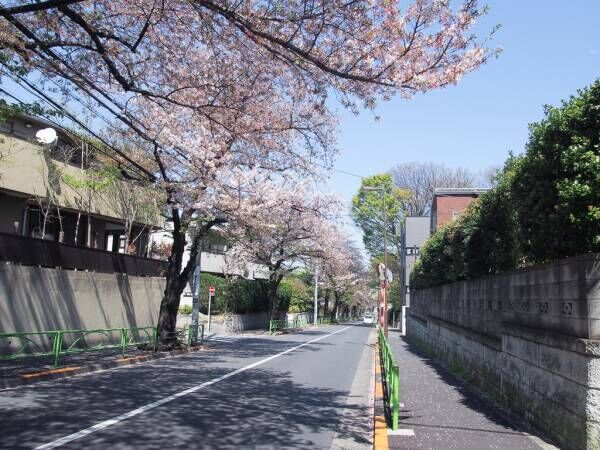 #goodspot 東京　大人がのんびりしたくなる公園。都立大学『すずめのお宿緑地公園』【プチDIY女子達のお部屋案内】