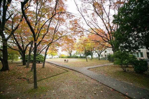 そうだ、団地に住んでみよう！　大阪・富田　敷地内にウォーキングコース！緑あふれる賑わいの環境で、楽しい団地暮らし始めませんか【プチDIY女子達のお部屋案内】