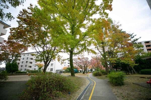 そうだ、団地に住んでみよう！　大阪・富田　敷地内にウォーキングコース！緑あふれる賑わいの環境で、楽しい団地暮らし始めませんか【プチDIY女子達のお部屋案内】