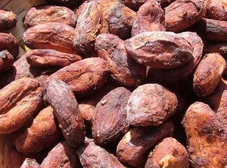 元気と美容の源に！マダガスカルカカオ100%使用の本格派ハイカカオチョコレート