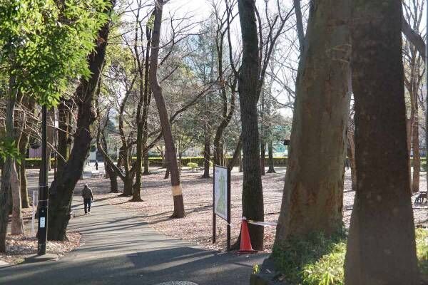 そうだ、団地に住んでみよう！　東京・芦花公園　「アクティ芦花公園」で実現する「ひと部屋プラス」のゆとりある暮らしかた【プチDIY女子達のお部屋案内】