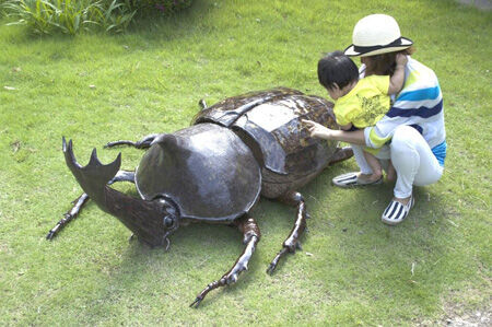 生きたカブトムシが二百匹！触って観察できる昆虫展