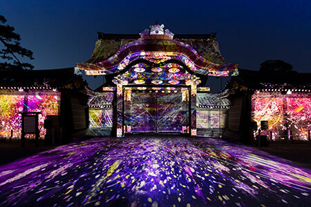 世界遺産・二条城を彩る光のアートで新たなお花見体験