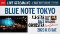 BLUE NOTE TOKYOのライヴ配信シリーズが6月13日（土）よりスタート