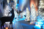 世界最大級のクリスマスツリーと空中庭園の幻想的な空間も話題。梅田スカイビルのクリスマスに注目！