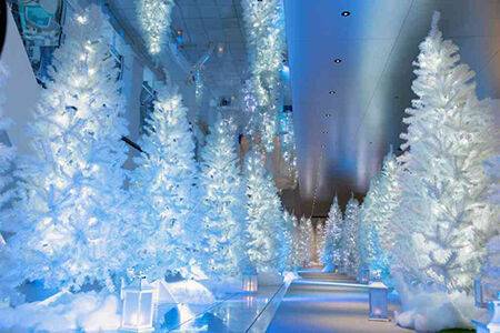 幻想的でロマンティックな空間が出現。梅田スカイビルのクリスマスへ