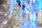 国内最大級のLEDツリーも登場。梅田スカイビルのクリスマス
