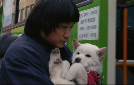 映画『ムサン日記』の白い犬“ペック”の動画が公開！