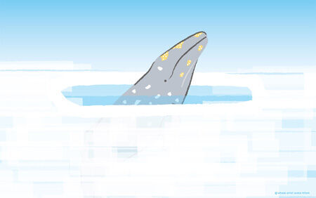 クジラ救出劇を描いた感動映画、イメージイラストが公開に