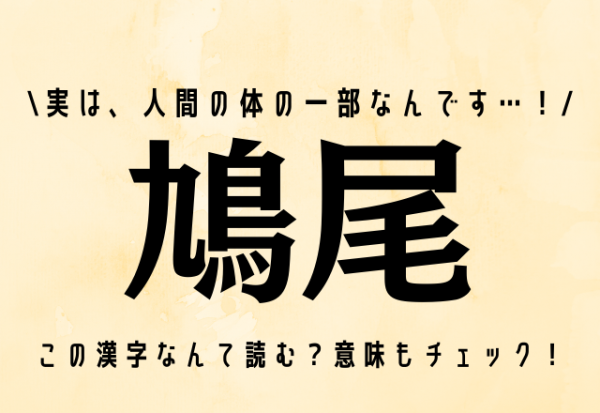 鳥の名前 鳩尾 実は 人間の体の一部なんです 21年7月5日 ウーマンエキサイト 1 2