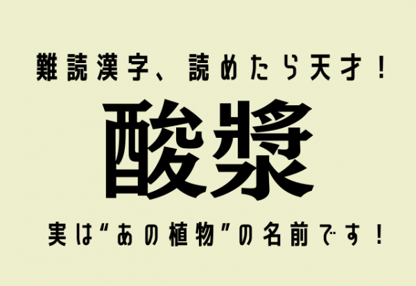 難読漢字 読めたら天才 酸漿 実は あの植物 の名前です 21年9月19日 ウーマンエキサイト 1 2