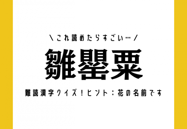 これ読めたらすごい 雛罌粟 難読漢字クイズ ヒント 花の名前です 21年10月16日 ウーマンエキサイト 1 2