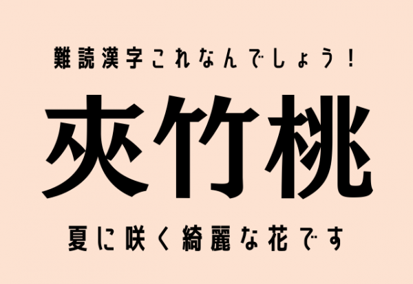 難読漢字これなんでしょう 夾竹桃 夏に咲く綺麗な花です 21年11月17日 ウーマンエキサイト 1 2