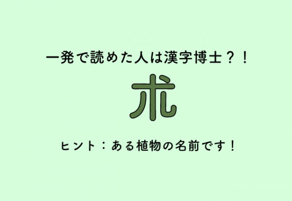 一発で読めた人は漢字博士 朮 ヒント ある植物の名前です 21年12月24日 ウーマンエキサイト 1 2