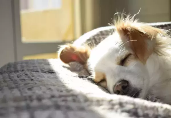 【意外と知らない生理の話】…なんで生理前に眠くなるの？