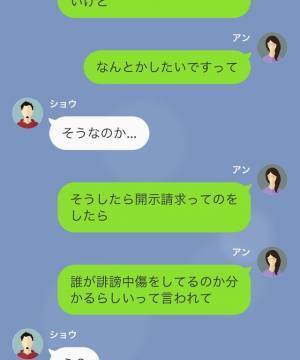 SNS炎上の“犯人”を捜す私。弁護士に依頼し“開示請求”すると犯人が判明…「あなたのアドレスだったのよ」