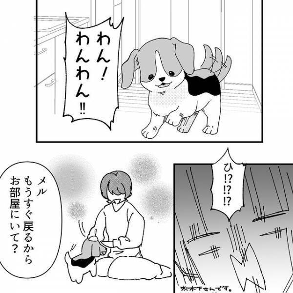 「なんなのよ、そいつ！！」勝手に家に上がろうとする迷惑ママ友。すると我が家の“愛犬”にビビりだし…【地獄耳自宅突撃ママ友＃33】