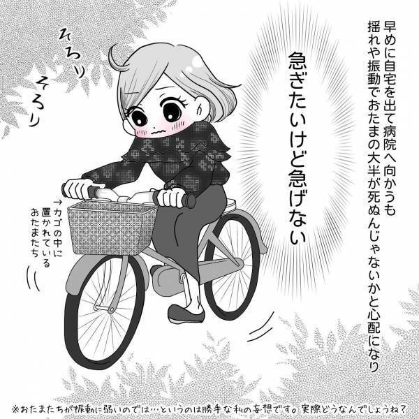 “人工授精”当日を迎えた私たち夫婦。夫に採取の手伝いを申し出るも“全力拒否”され…【40歳で妊活始めました＃55】