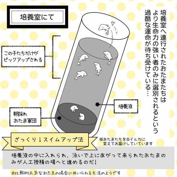 “人工授精”当日を迎えた私たち夫婦。夫に採取の手伝いを申し出るも“全力拒否”され…【40歳で妊活始めました＃55】