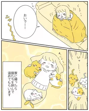 体温が低い私が寒くて愛猫3匹を呼ぶと、その”神対応”っぷりに読者から反響の声！「可愛すぎる！」「最高の癒し」