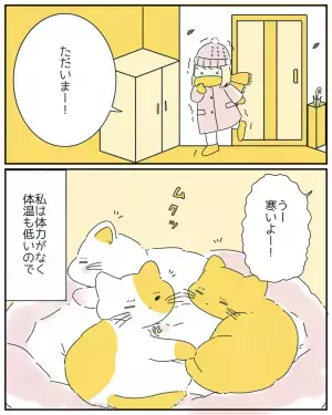 体温が低い私が寒くて愛猫3匹を呼ぶと、その”神対応”っぷりに読者から反響の声！「可愛すぎる！」「最高の癒し」