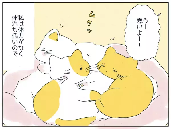 体温が低い私が寒くて愛猫3匹を呼ぶと、その”神対応”っぷりに読者から反響の声！「可愛すぎる！」「最高の癒し」