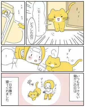 「飼い主の愛情が返ってきた瞬間」普段スキンシップが苦手な愛猫。病気で寝込んだ家族への”思いがけない行動”とは