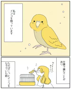 「言葉がわからなくても心はわかる」仕事で落ち込んで帰宅すると→いつもは元気なインコが取った驚きの行動