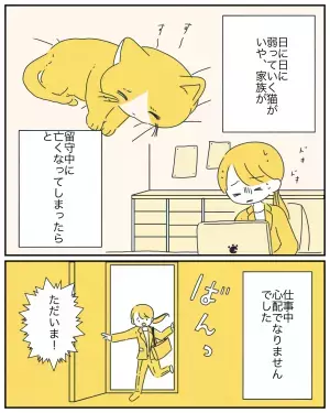 余命宣告を受けた愛猫。家族を待つ”けなげな姿”に読者から反響の声！「大切に育ててくれた家族に挨拶したかったのかな」