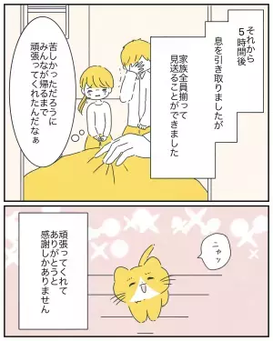 余命宣告を受けた愛猫。家族を待つ”けなげな姿”に読者から反響の声！「大切に育ててくれた家族に挨拶したかったのかな」