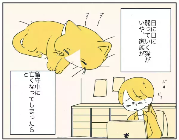 余命宣告を受けた愛猫。家族を待つ”けなげな姿”に読者から反響の声！「大切に育ててくれた家族に挨拶したかったのかな」