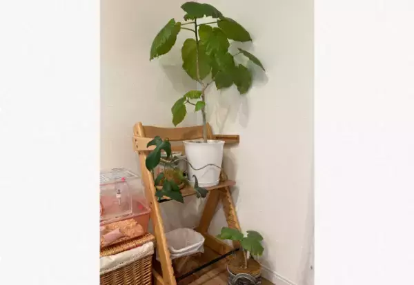 キッズチェアを棚代わり…！【捨てるのはちょっと待って！本来とは違う使い方3選】