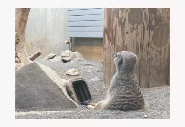 【必死の訴え！】外に出たくないと椅子にしがみつき…→「思わず笑ってしまった」