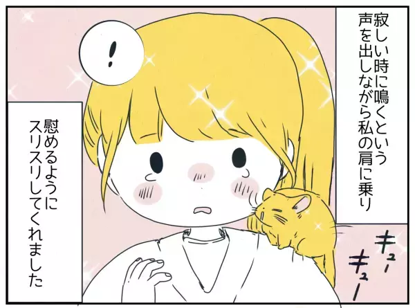 恋人との思い出に浸り泣く私。チンチラがくれた”優しさ”に読者から反響の声！→「ちゃんと理解してくれてたんだと分かる瞬間」